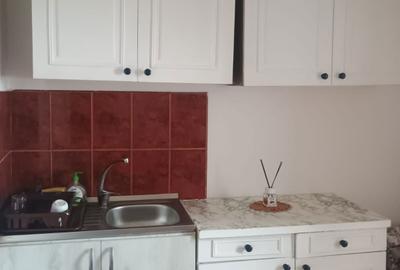 Apartament cu 2 camere decomandat în Popa Șapcă - 6