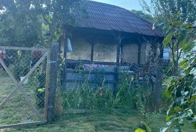 Vand casa comuna Chiuiesti Vand casa comuna Chiuiesti - 7