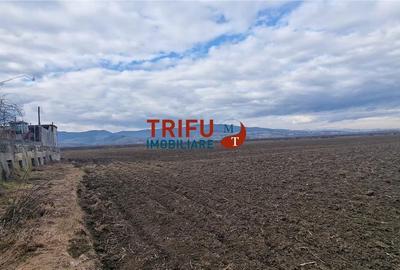 Spațiu comercial, în Oarda - 4