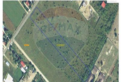 Teren agricol intravilan de 10000 mp, în Domnești - 5