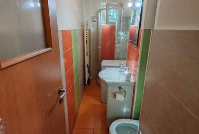 Apartament cu 2 camere semidecomandat în Dumbrăvița - 5