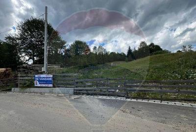 Teren 4397 mp Intravilan Manastirea Humorului / Lunga Buc... - 4