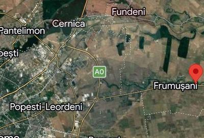 Spațiu comercial, în Pasărea - 3