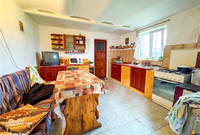 Casă cu Teren 10101 Mp în Sita Buzăului - 15