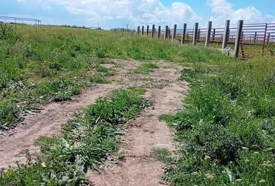 Teren de 1000 mp, în Exterior Vest - 6