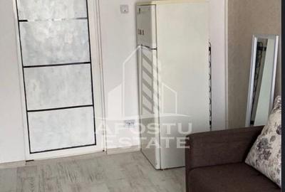 Garsoniera renovata, etaj intermediar, zona Buziasului - 4