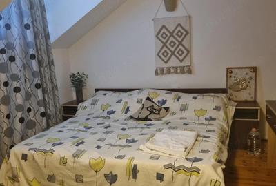 Casă cu 4 camere cu Teren 240 Mp în Surducu Mic - 5
