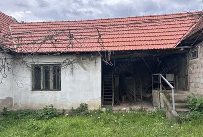 Casa Zorlen?ul Mare Casa Zorlen?ul Mare - 5