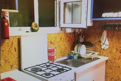 Casă cu 3 camere în Lepșa - 2