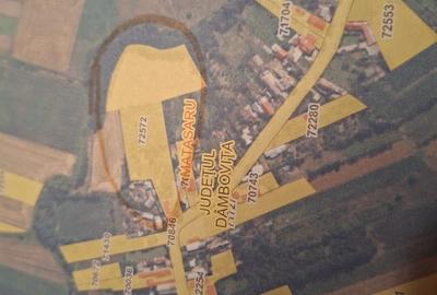 Casă cu 5 camere cu Teren 15000 Mp în Central - 3