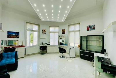 Armeneasca - Pache Protopopescu apartament in vila arhitectura deosebita - 11