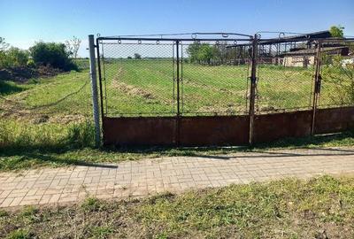 Teren de 2900 mp, în Comloșu Mare - 3