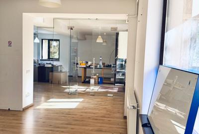 Floreasca / Rahmaniniov/ Spațiu de Birou la Parter + Terasa / 100 Mp - 10