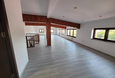 Casa individuala, ideala sediu firma Rahova- Teius - 18