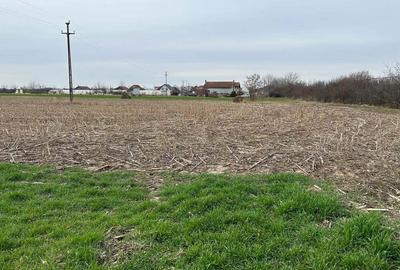 Vand parc.teren 7.800 mp(38x203),extravilan(posib.intravilan)la inrare in Zadareni Vand parc.teren 7.800 mp(38x203),extravilan(posib.intravilan)la inrare in Zadareni - 5