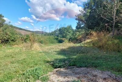 Teren intravilan in Sanduleni jud. Bacau - 9