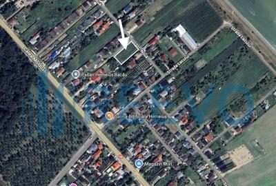 Teren intravilan 1.600 mp Lilieci - 3