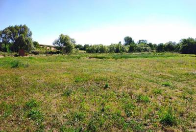 Teren 18.247 mp cu balta de pescuit Misca, Comuna Chi... - 6