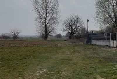 Teren de 5000 mp, în Podari - 7