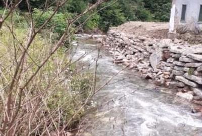 Teren cu casa , Valea vinului , sat Rodna , Jud Bistrița-Năsăud - 2