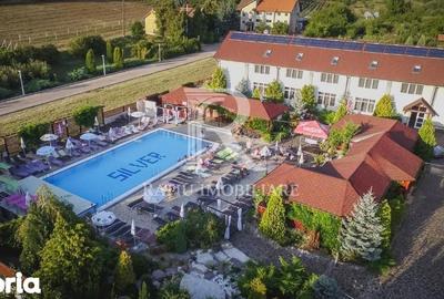 Spațiu comercial, de 2,000 mp, în Podgoria - 18