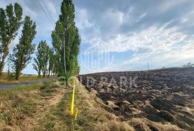 Teren Intravilan- Tureni- Zona Industriala