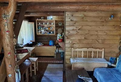 Casă cu 1 camere cu Teren 1050 Mp în Surduc - 9