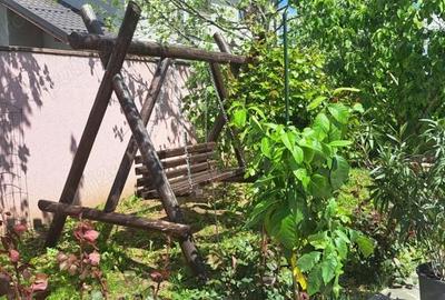 Casă cu 3 camere în Adunații-Copăceni - 3