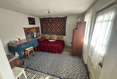 Casă cu 2 camere în Butanu - 3