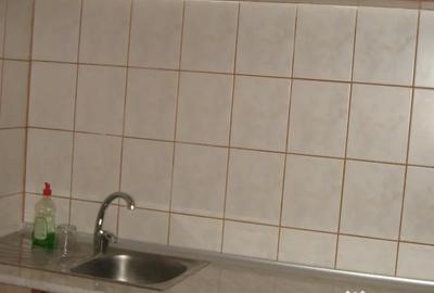 Garsonieră decomandată în Panduri - 5