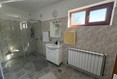 Casă individuală cu 6 camere cu Canalizare în Valea Voievozilor - 11