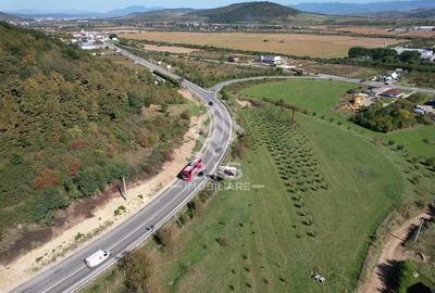 Teren de 2500 mp, în Viișoara - 1