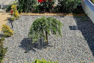 Casă individuală cu 5 camere cu Canalizare în Spitalul Județean - 15