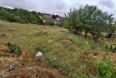 Teren Construcții intravilan de 1260 mp, în Giarmata - 2