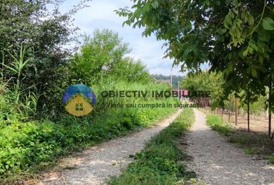 Teren intravilan com. Alexandru cel Bun- Viisoara - 11