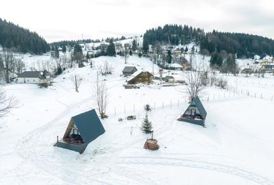 Teren Construcții intravilan de 7656 mp, în Fundata - 3