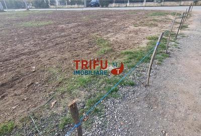 Teren cu o suprafață de 1093 mp, poziționat în zona Cetate, - 13