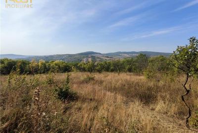 Teren extravilan zona - 11