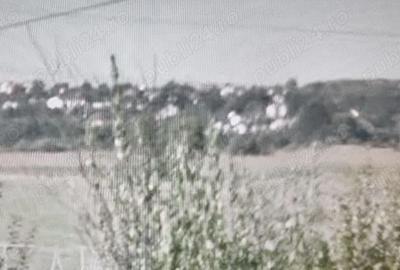 Teren de 4800 mp, în Bascov - 1