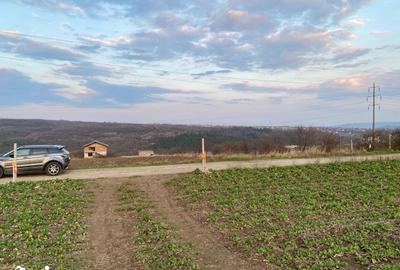 Teren de 508 mp, în Valea Lupului - 7