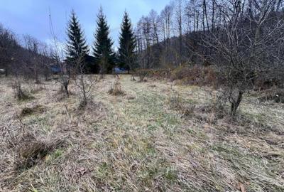 Teren de 6500 mp, în Morărești - 3