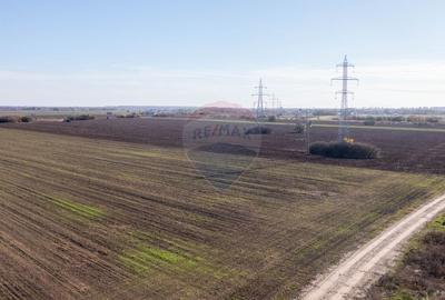 Vanzare teren intravilan 7.500 mp Sabareni - 10