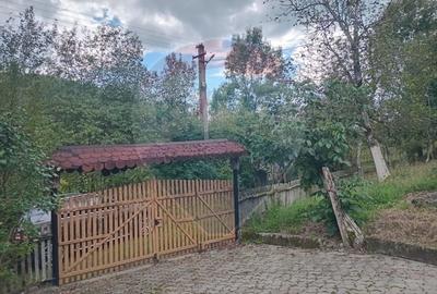 OCAZIE!!! CASA SUPERBA cu teren in JULITA jud Arad in M tii Zarandului - 42