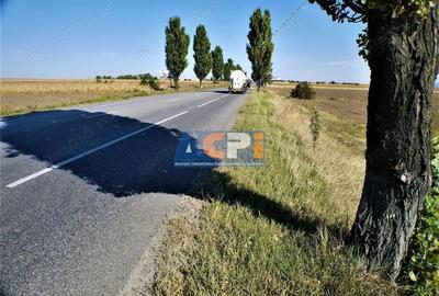 Teren iesire din Nicolae Balcescu, la 200ml de E85 Bacau - 9