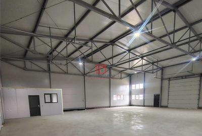 Depozit/hala/spatiu industrial Theodor Pallady - Gara Catel - 3