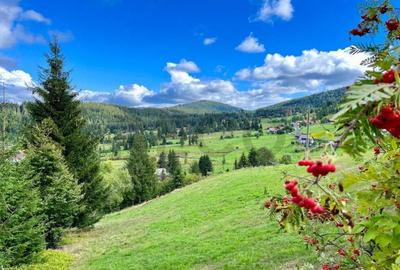 RECO Teren intravilan in Arieseni - 1