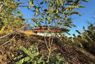 Teren intravilan 1543 mp - zona Darmanesti Teren intravilan 1543 mp - zona Darmanesti - 6