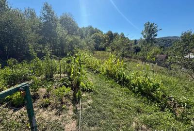 Casă cu 3 camere cu Teren 1027 Mp în Central - 2