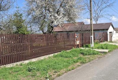 Casă cu Teren 1600 Mp în Ciocârlia - 4