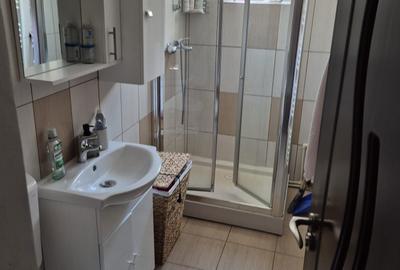 Apartament cu 2 camere semidecomandat în Banat - 2